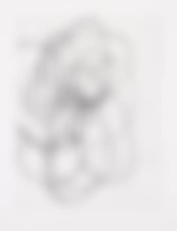 Untitled, from Untitled (preview)
