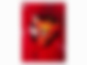 Tulip (Close Up 1) (preview)