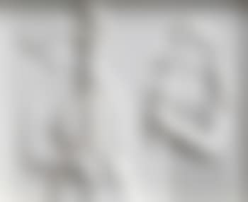 Concertino bianco (preview)