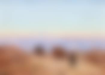 Dead Sea Landscape with Camels (preview)