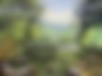 La Vere (preview)