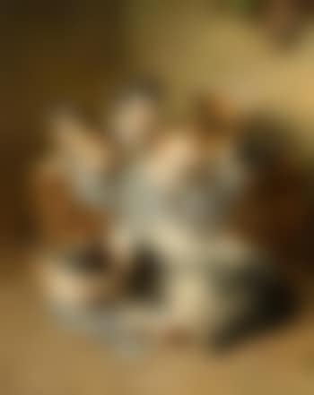 Schlafende Katzenmutter mit ihren Jungen in einem Korb (preview)