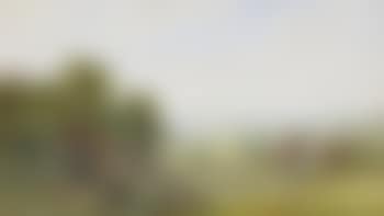 Distant downs, near Heathfield, Sussex (preview)