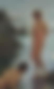 Variant on a bathing group (preview)