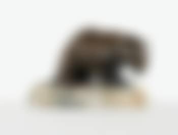 Jaguar Accroupi (preview)