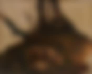 Etude de rocher et d’arbres (preview)