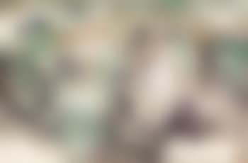 A rider (preview)