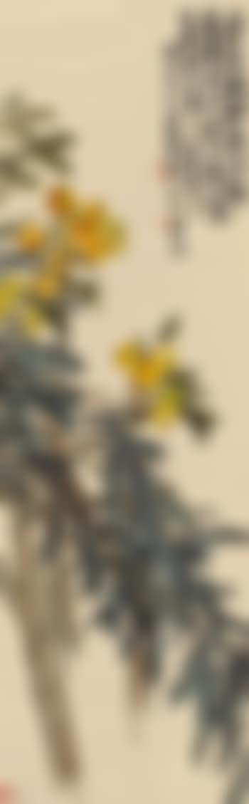 Loquat (preview)