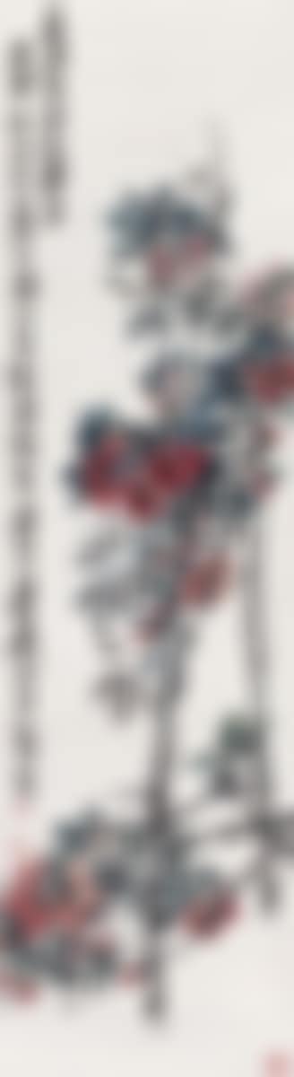 Camellia (preview)
