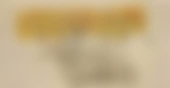 Untitled (Bird, Tree and Mountain Series) (preview)