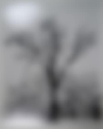 Oak tree, snowstorm (preview)