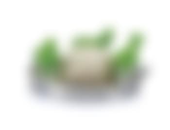 Senza titolo (preview)