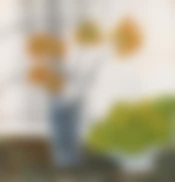 Still life (preview)