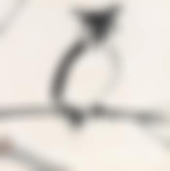 Owl (preview)