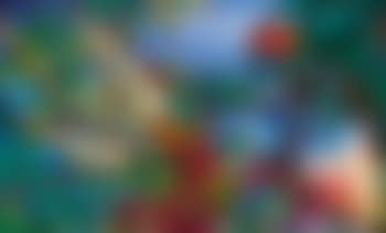 An important and rare 'Parakeets and Cherries' Window (preview)