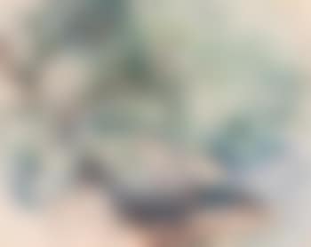 Südliche Küstenlandschaft (preview)