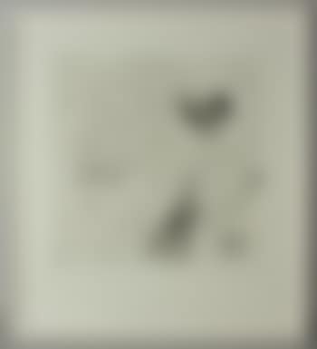 Pflanzenwegen (preview)