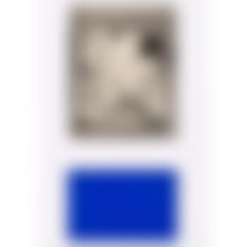 Yves Klein pratiquant une prise de Judo (preview)