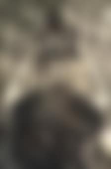 Black Jesus (preview)