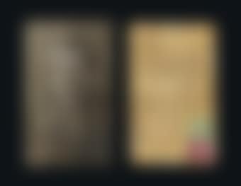 Dr. Otto Briesmeister (preview)