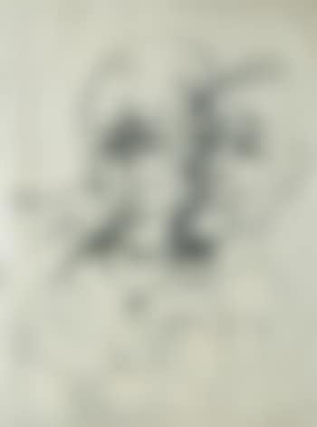 Skizze zu einem Doppelselbstbildnis (preview)