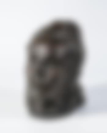 Selbstportrait (preview)