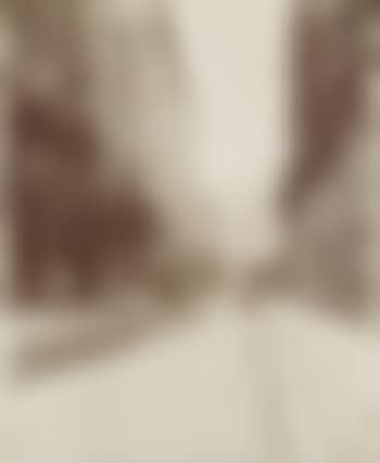 R Bernard Palissy (preview)