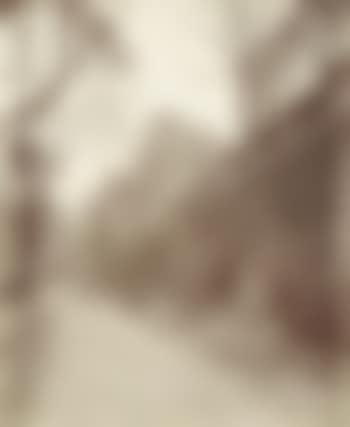 Square Monge (preview)