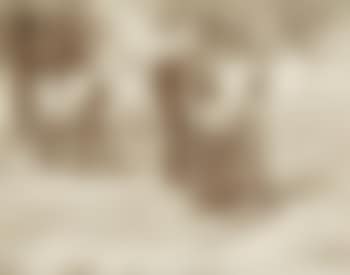 Bitumiers (preview)