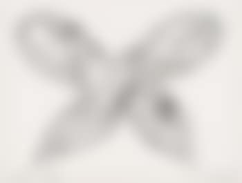 Surprised butterfly (preview)