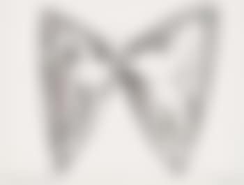 The rabbit hole butterfly (preview)