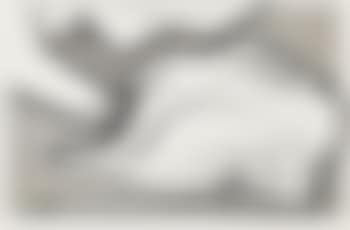 Stuffed chicken (preview)