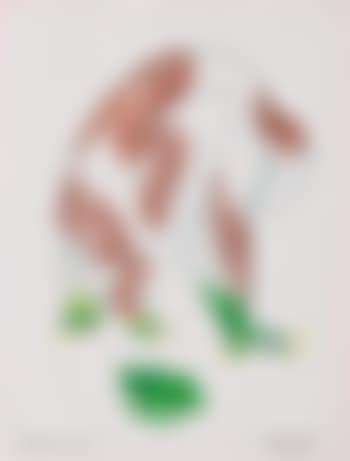 Frog man (preview)