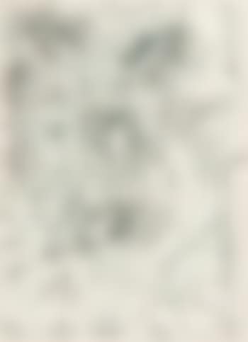 Fronds (preview)