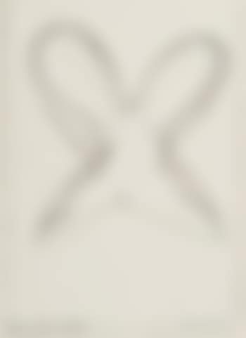 The white rabbit (preview)