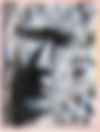 Untitled (face and butterflies) (preview)