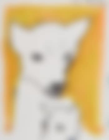 Dingo Australian Museum (preview)