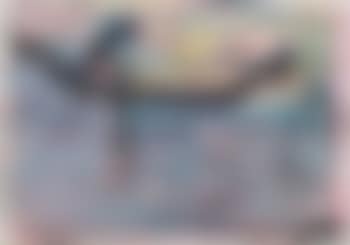 The gondolier (preview)