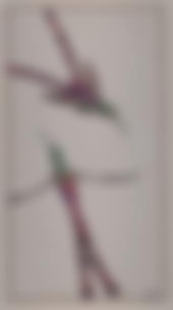 Vol de deux Colibris (preview)