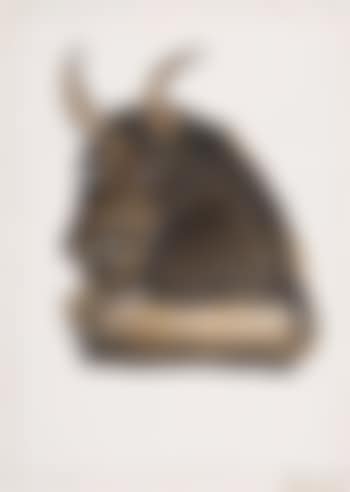 Minotaur study VII (preview)