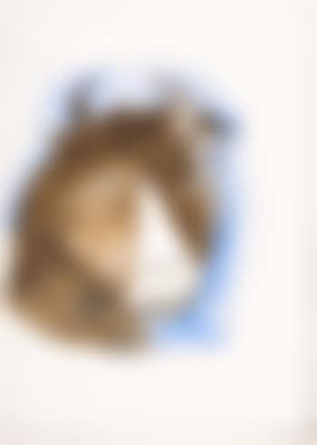 Minotaur study IV (preview)