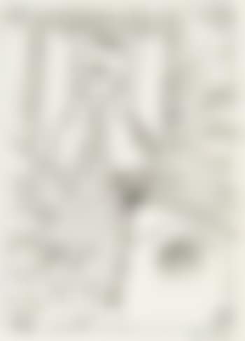 Butterfly, face and fronds (preview)