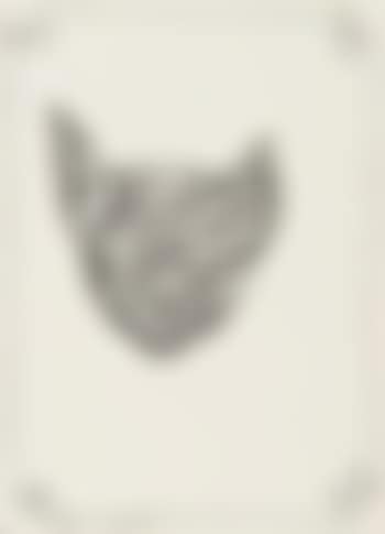 Fron cat (preview)