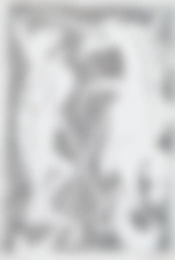 Unicorn and tortoise (preview)