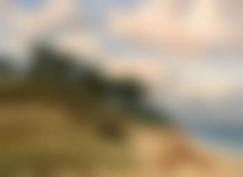 Dünen bei Ahrenshoop (preview)
