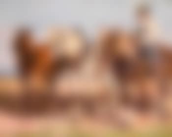 Bauer mit Arbeitspferden (preview)