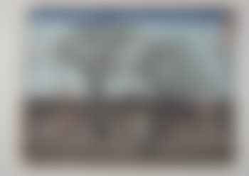 Akasaka (preview)