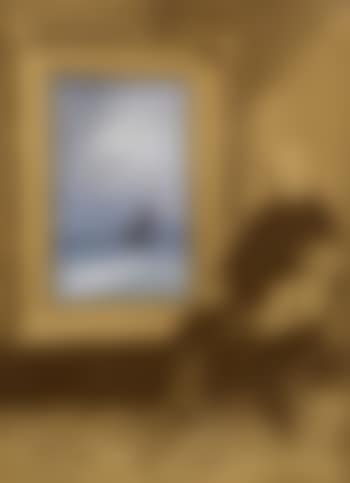 Self-portrait with seascape (preview)
