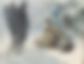 The old peasant and death (preview)