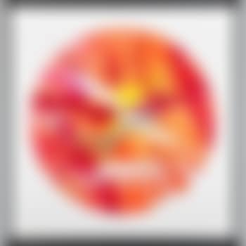 Circle Spin Painting (Created at Damien Hirst Spin Workshop) (preview)
